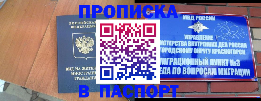найти адрес прописки в Мурманской области